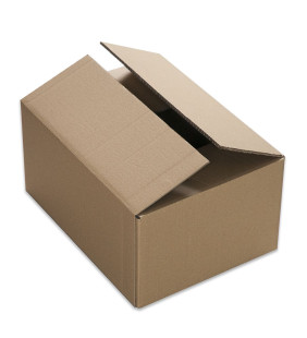 CAJA CARTON DOBLE CANAL